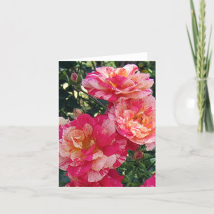 Roses en blanc rose rayé noir Carte de photo d'art
