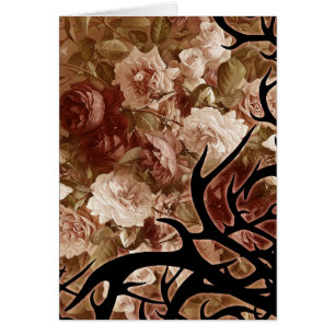 Roses Et Épines Anciens