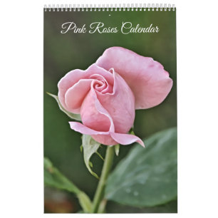 Roses Fotografische Blume Kalender