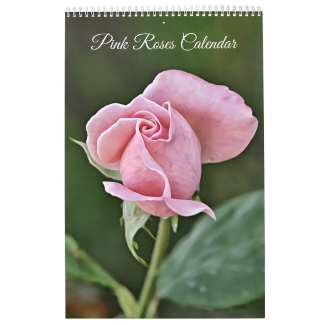 Roses Fotografische Blume Kalender (Titelbild)