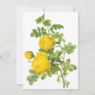 Roses Jaunes vintages par Redoute Invitation