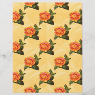 Roses orange sur papier papier à scandale Arrière