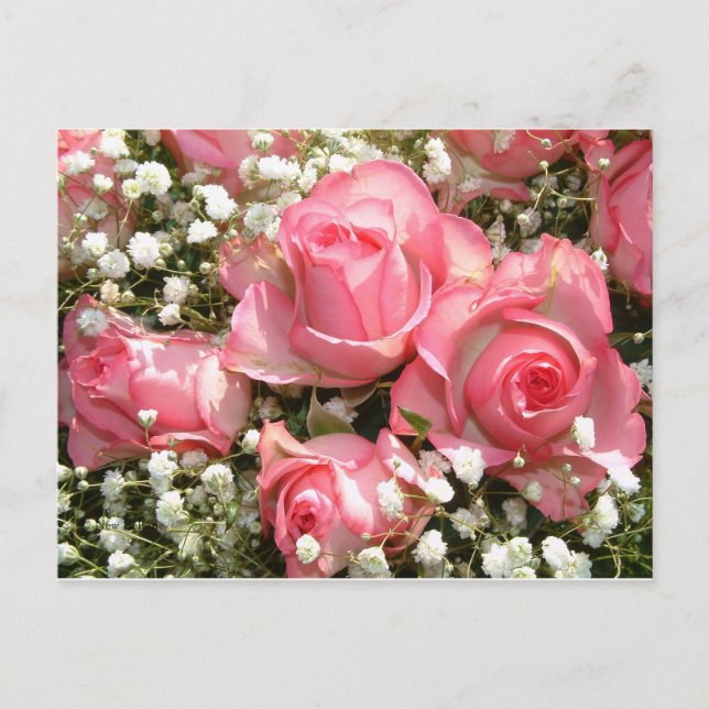 Roses Postkarte (Vorderseite)