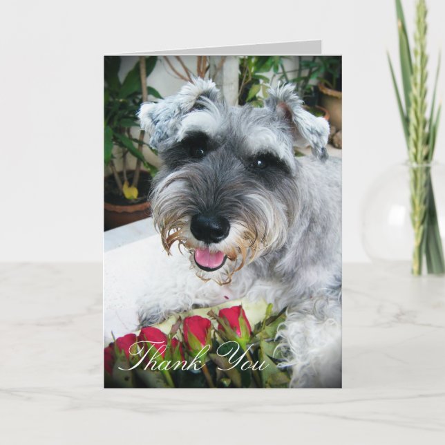 Roses pour vous - Merci (Devant)