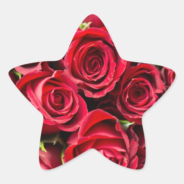 Roses Reddy Beautiful Stern-Aufkleber (Vorderseite)
