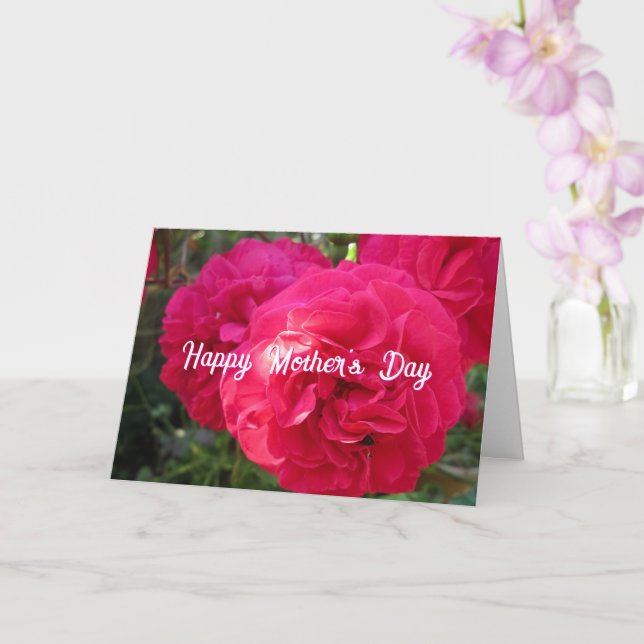 Roses Rose Chaud - Carte de Fête des Mères Personn (Orchidée)