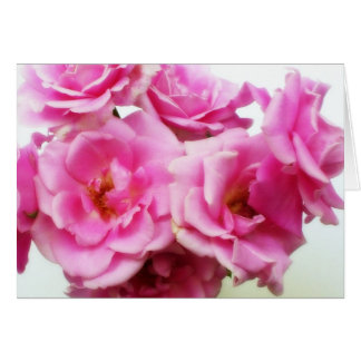 Roses roses