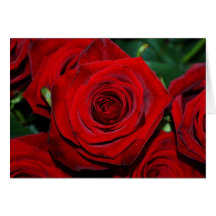 Roses rouges