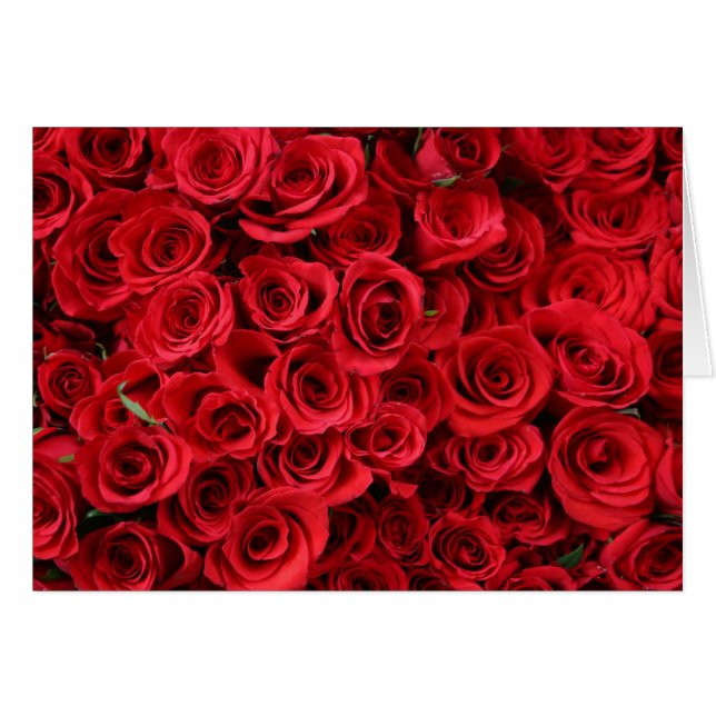 Roses rouges (Devant horizontal)