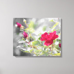 Roses rouges de toile étirée d'été Imprimer