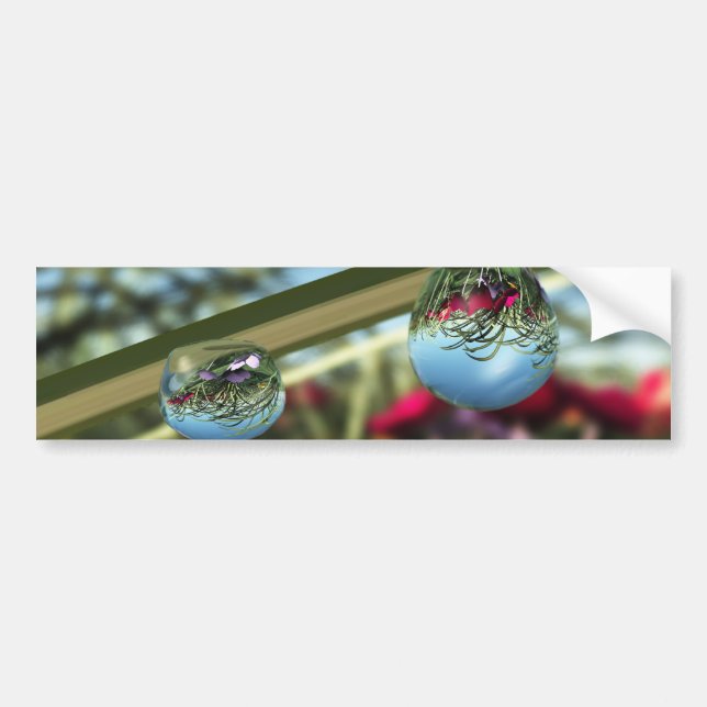 Roses sur Raindrops Bumper Sticker (Devant)
