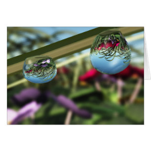 Roses sur Raindrops Card