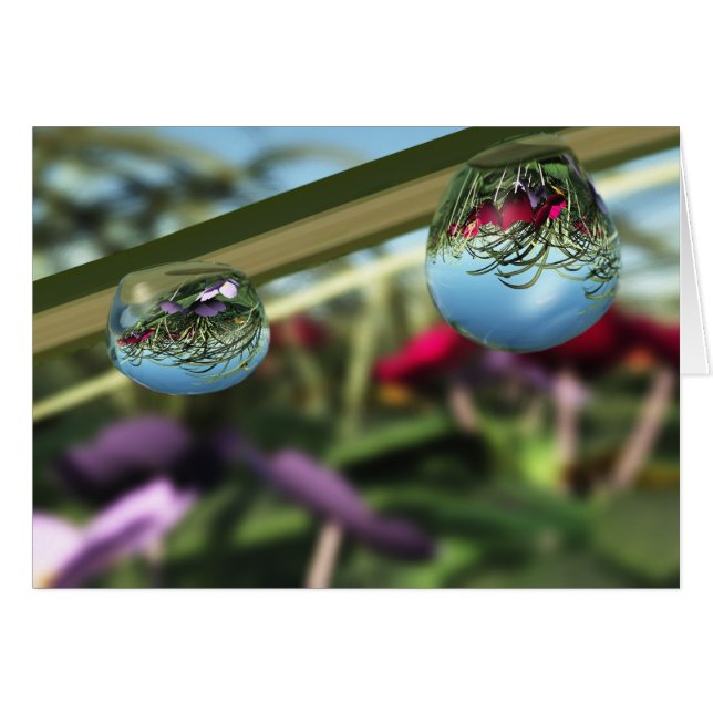 Roses sur Raindrops Card (Devant horizontal)