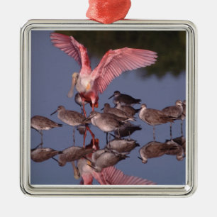 Rosette Spoonbill mit Willenskraft in flachem Wass Ornament Aus Metall
