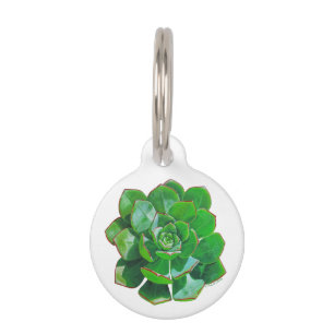Rosette Succulent Haustiermarke