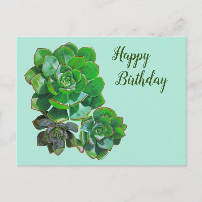 Rosette Succulente Carte postale (Devant)