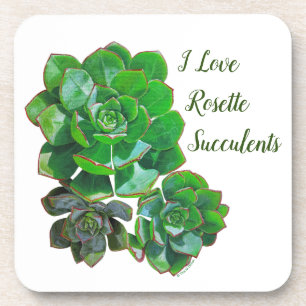Rosette Succulents Dessous de verre en plastique