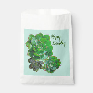 Rosette Succulents Favoriser Les Sacs