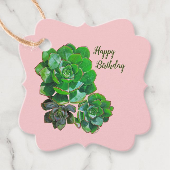 Rosette Succulents Gift Tags Geschenkanhänger (Vorderseite)