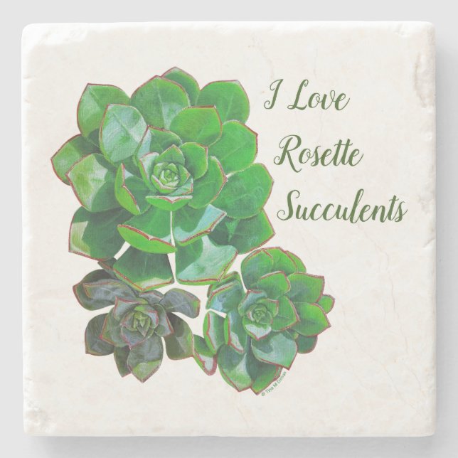 Rosette Succulents Stone Untersetzer (Vorderseite)