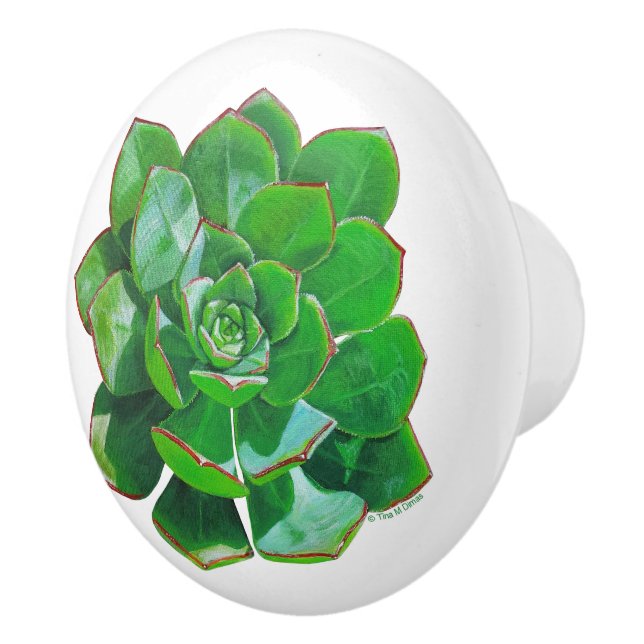 Rosette Sukkulente Keramik Knob Keramikknauf (Rechts)