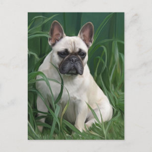 Rosey im Gras Postkarte