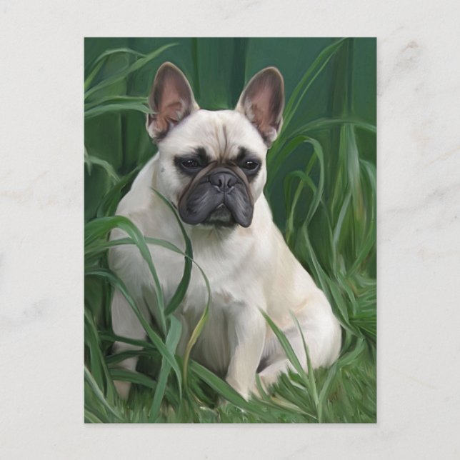 Rosey im Gras Postkarte (Vorderseite)