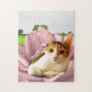 Rosey Kitty