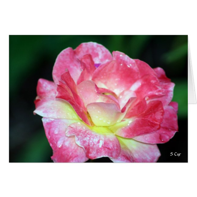 Rosey, S Cyr (Devant horizontal)