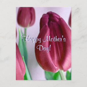 Rosey Tulips zum Muttertag Postkarte
