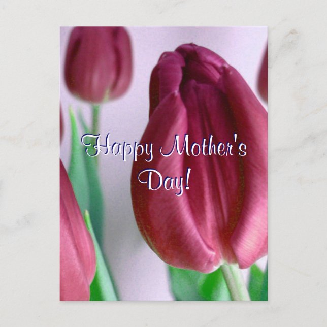 Rosey Tulips zum Muttertag Postkarte (Vorderseite)