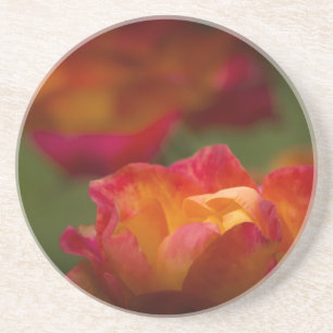 Rosey Untersetzer