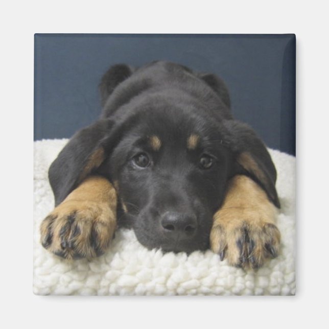 Rosie Magnet (Vorne)