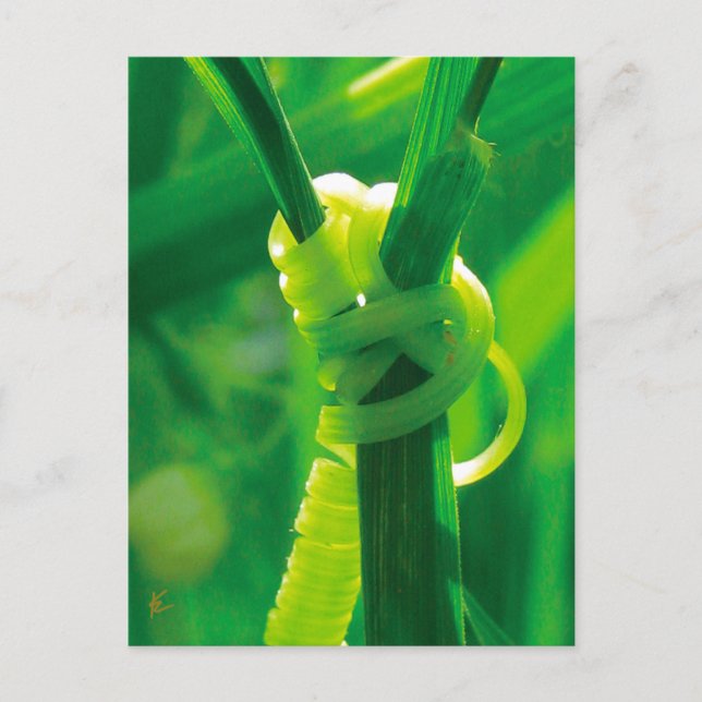 Rosie the Riveter Sweet Pea Vine Ermutigung Postkarte (Vorderseite)