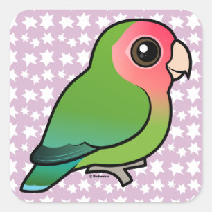 Rosig-gesichtiger Lovebird Quadratischer Aufkleber