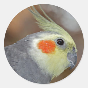 Rosige Wangen Aufkleber