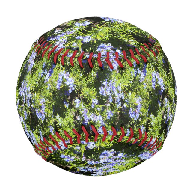 Rosmarin Blume grün Baseball (Vorderseite)