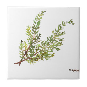 Rosmarin-Kräuter-Aquarell-Küche Grün rustikal  Fliese