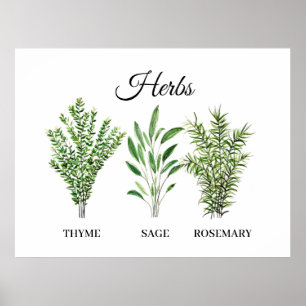 Rosmarin Thymian Salbei Kräuter Kochküche Chef Poster