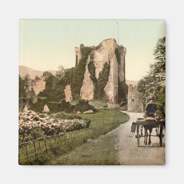 Ross Castle II, Killarney, Landkreis Kerry Magnet (Vorne)