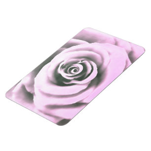 Rosse rb magnet