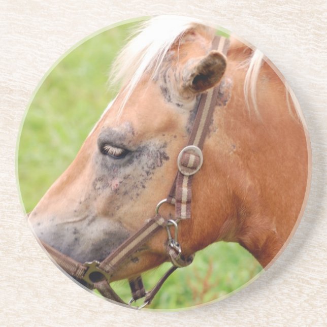 Rosshead 003 getränkeuntersetzer (Vorne)