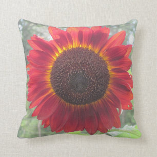Rostiges rotes Sonnenblume-Kissen Kissen