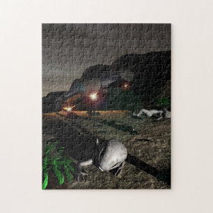 Roswell UFO-Abbruch nachts