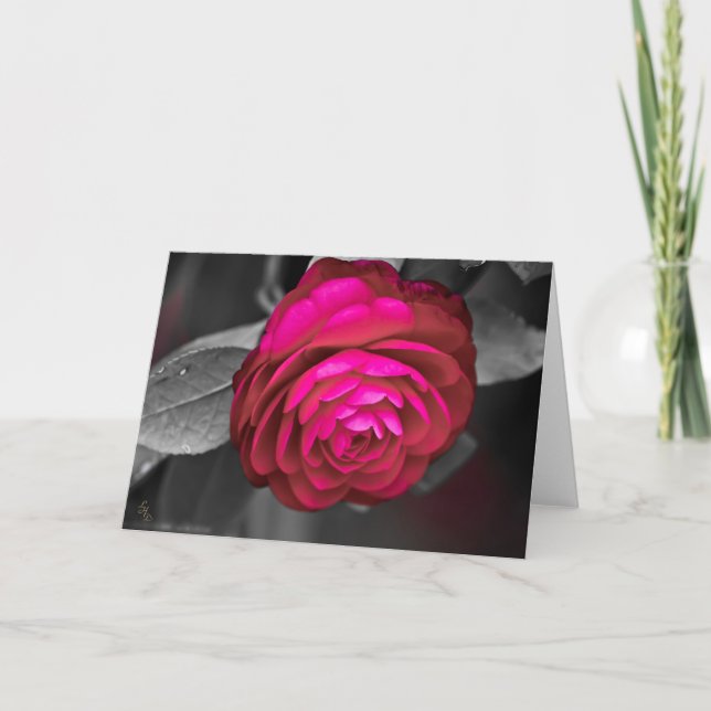 Rosy Camellia Lee Hiller Fotografy Karte (Vorderseite)