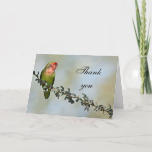 Rosy- faced love bird on a branch,Thank you. Dankeskarte