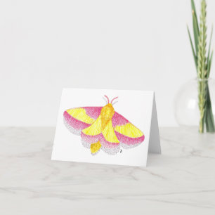 Rosy Maple Moth Karte