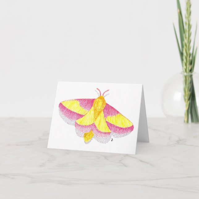 Rosy Maple Moth Karte (Vorderseite)