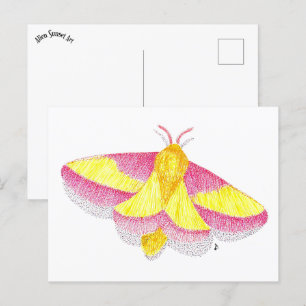 Rosy Maple Moth Postkarte