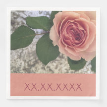 Rosy-Pink-Garden-Blume